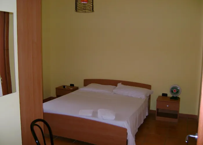 Oasi