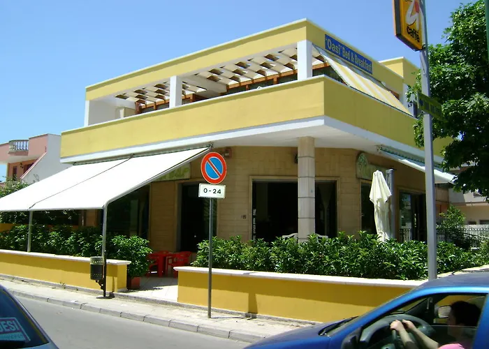 Oasi
